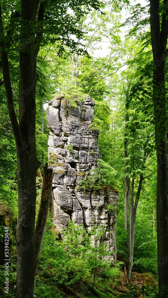 Luxemburg Müllertal, wasser, wald, schild, felsen Luxemburg Müllertal, wasser, wald, schild, felsen