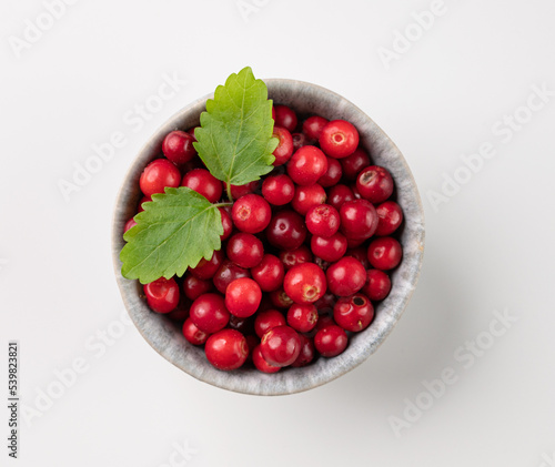 Bilde på lerret Juicy forest lingonberry in a  bowl on a white isolated background with mint leaf
