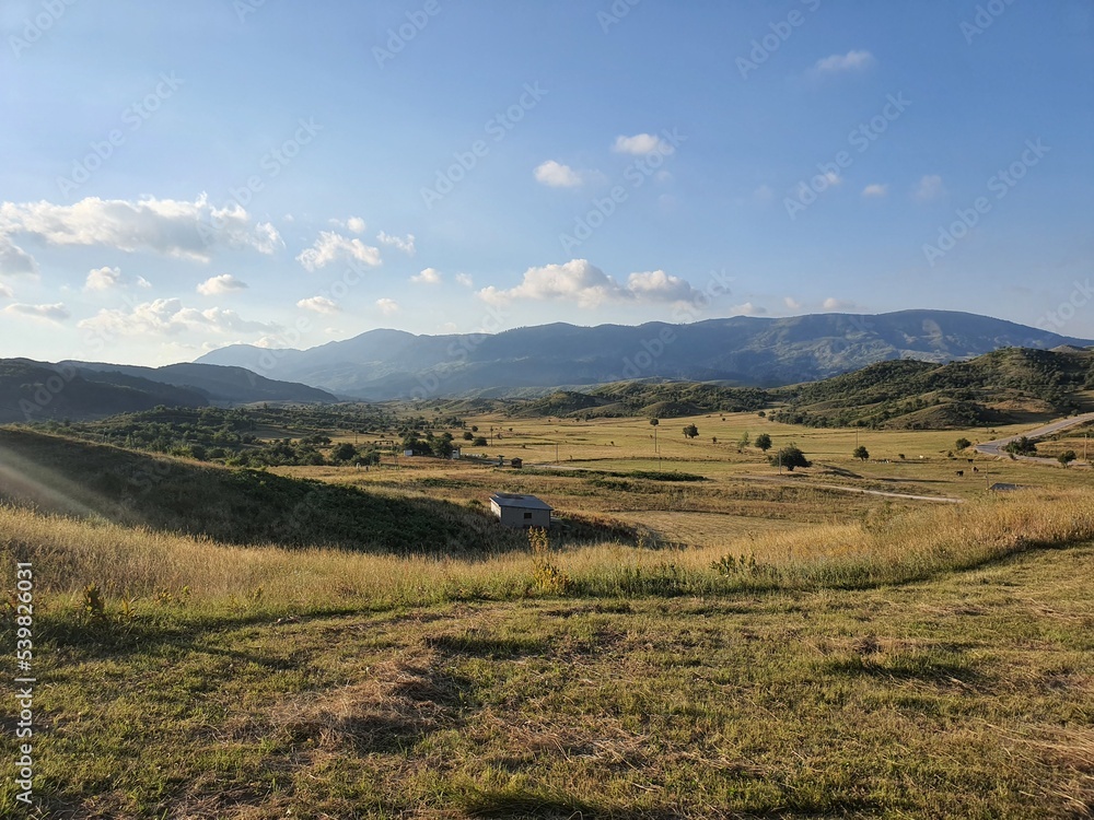 Wonderful landscape in the mountains: plateau at metsovo ski resort in summer. horses, cows and goats are grazing. travel and holiday concept