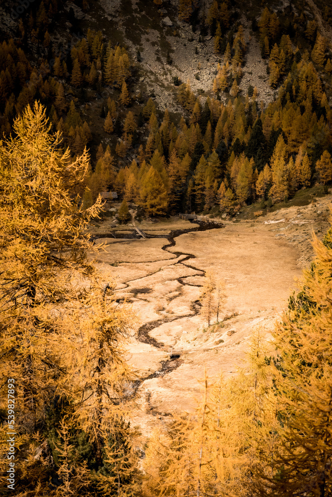 Fluss im Herbst