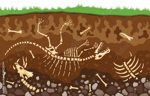 Soil layers with bones. Surface horizons with fossil reptile skeleton, upper layer of earth structure with mixture of organic matter, minerals. Buried lizard bones in dirt and underground clay layer