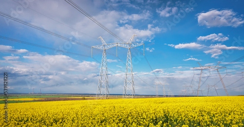 High voltage electric tower on field of rape