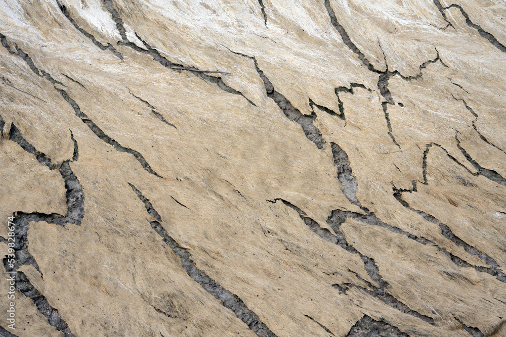 Dry riverbed texture. dry algae. Hot Clay Dry riverbed texture. dry algae. Hot Clay