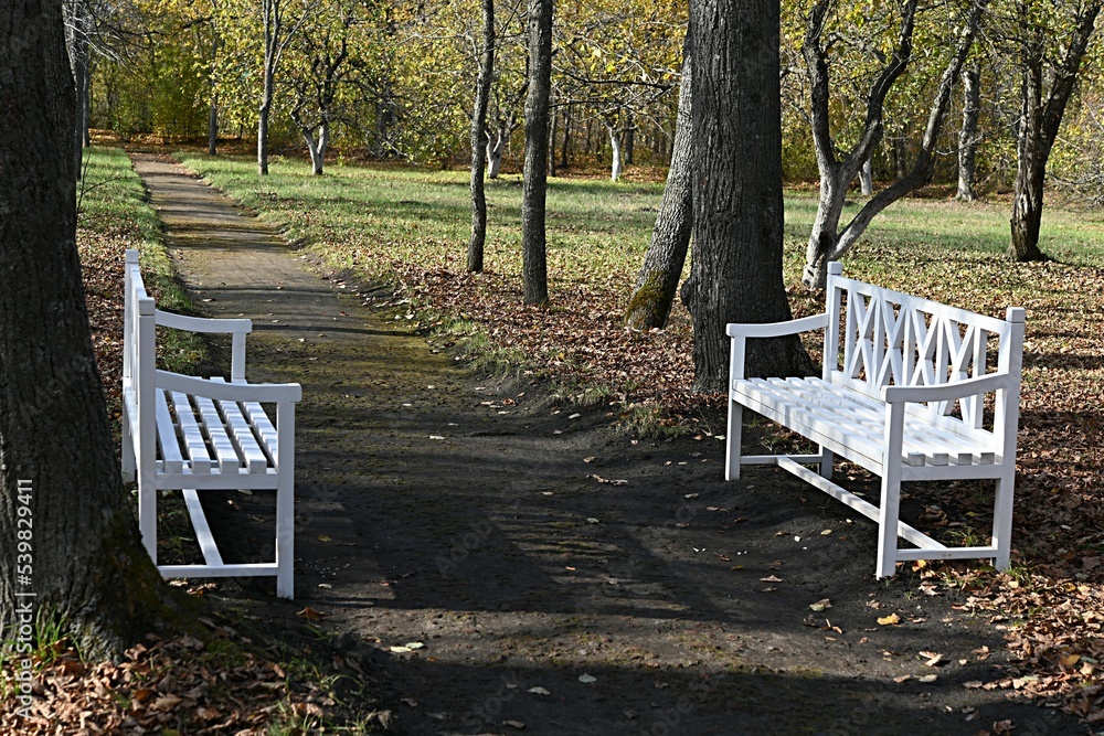 beautiful autumn landscape. path with benches in the park. falling yellow leaves. beautiful autumn landscape. path with benches in the park. falling yellow leaves.