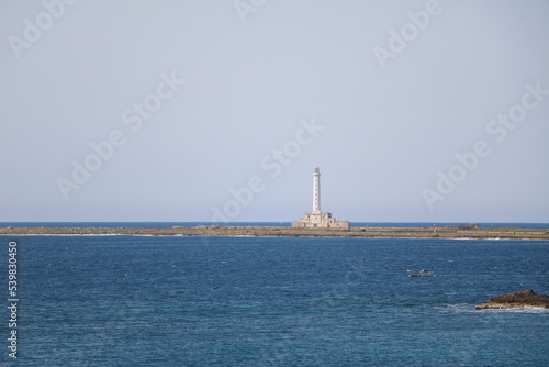 View to Faro dell'Isola di Sant'Andrea from Gallipoli, Puglia Italy © ClaraNila