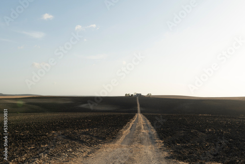 Paisaje rural de un campo reci  n labrado  despu  s de la cosecha