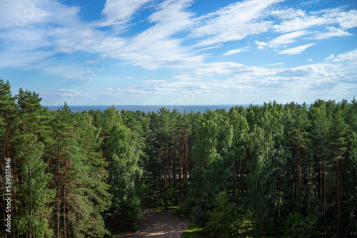 The tops of ancient pines on the horizon.View of the Gulf of Finland from sandy mountain. 