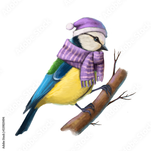 cute titmouse in winter scarf, watercolor style bird good for card and print design