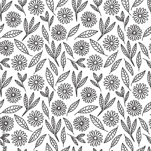 Hand drawn doodle leaves and flowers seamless patterm. Black and white branch with leaves vector background
