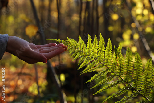 Branch of a green fern and young man hand in the autumn forest. Pavel, my right hand and green fern. Photo was taken 16 October 2022 year, MSK time in Russia. photo