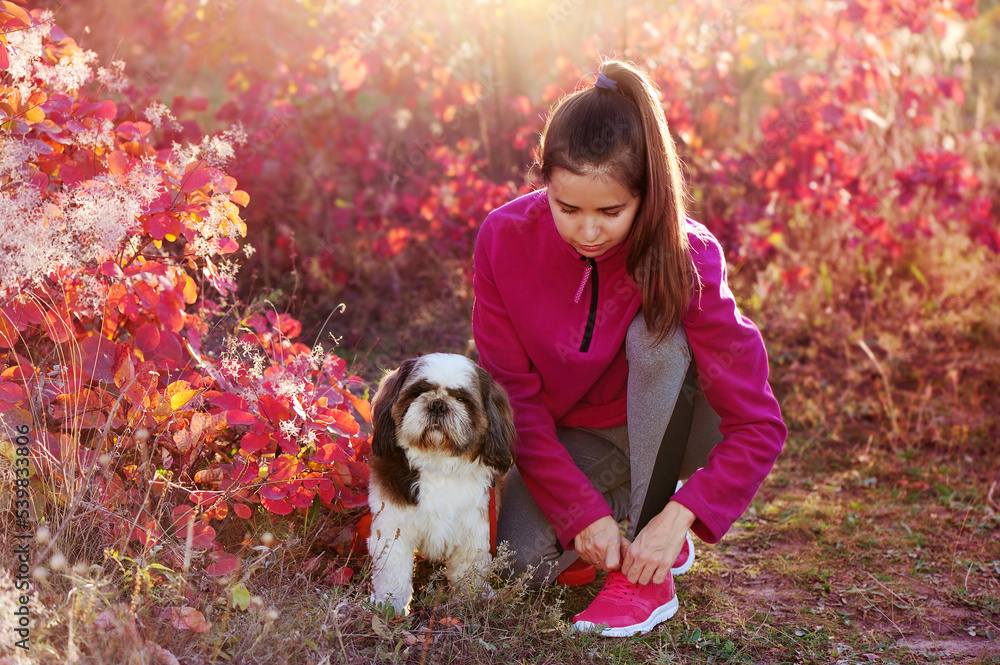Sporty woman tying shoelaces after jogging with dog Sporty woman tying shoelaces after jogging with dog