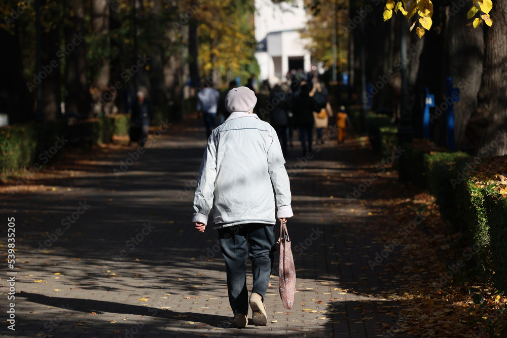 Starsi ludzie spacerują jesienną alejką na cmentarzu.  - obrazy, fototapety, plakaty 
