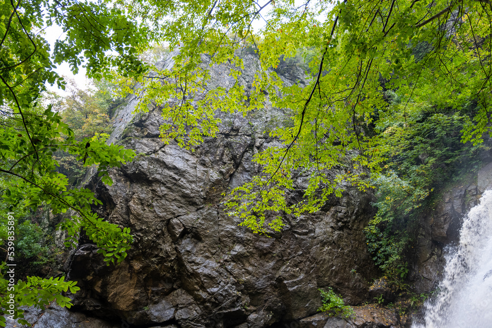 Autumn nature landscape in the forest on the waterfall path in the evening. Holiday destinations. Yalova city. Turkey. Autumn nature landscape in the forest on the waterfall path in the evening. Holiday destinations. Yalova city. Turkey.