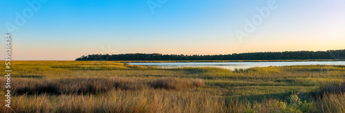 East River Marsh in the Brunswick Jekyll Island area  Georgia