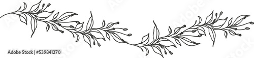 Line art floral dividers. Dividers with Branches  Plants and Flowers