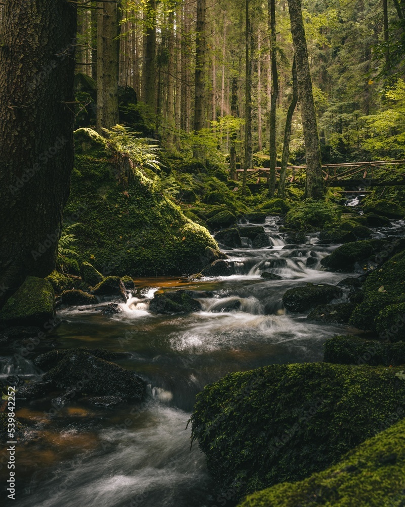 Naklejka premium Long exposure shot of St. Wolfgang Waterfall running through a beautiful forest
