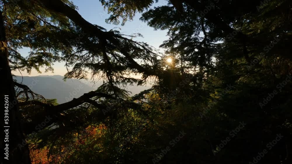 Canadian Landscape with Fall Colors during sunny sunset. Elk Mountain, Chilliwack, East of Vancouver, British Columbia, Canada. Nature Background.