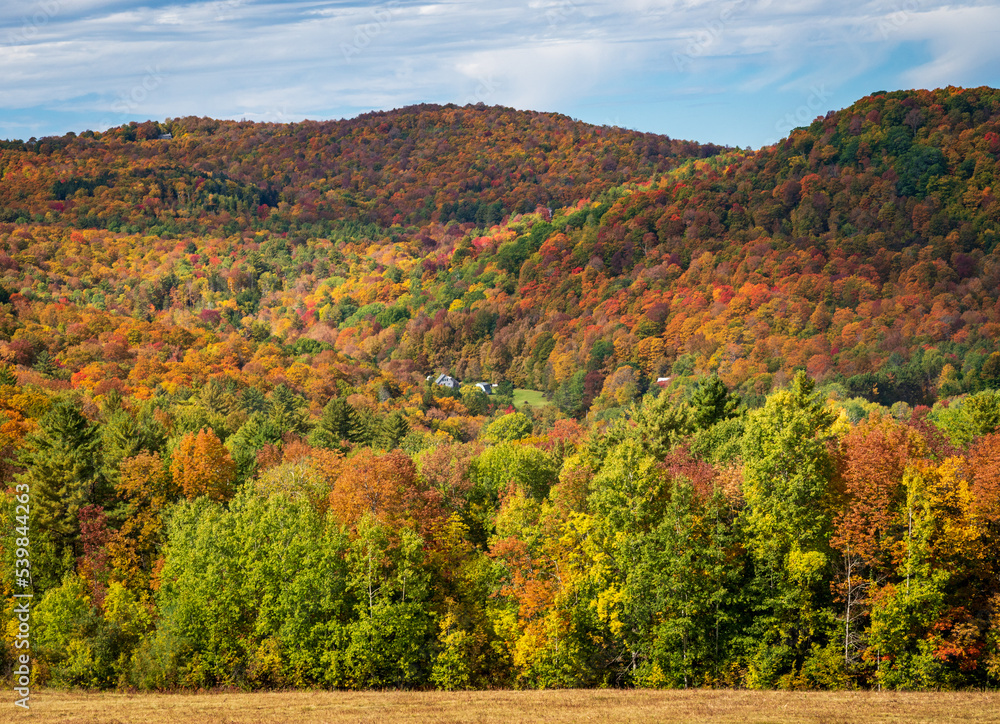 Layers of trees in many autumn colors line a hillside near Pomfret in Vermont