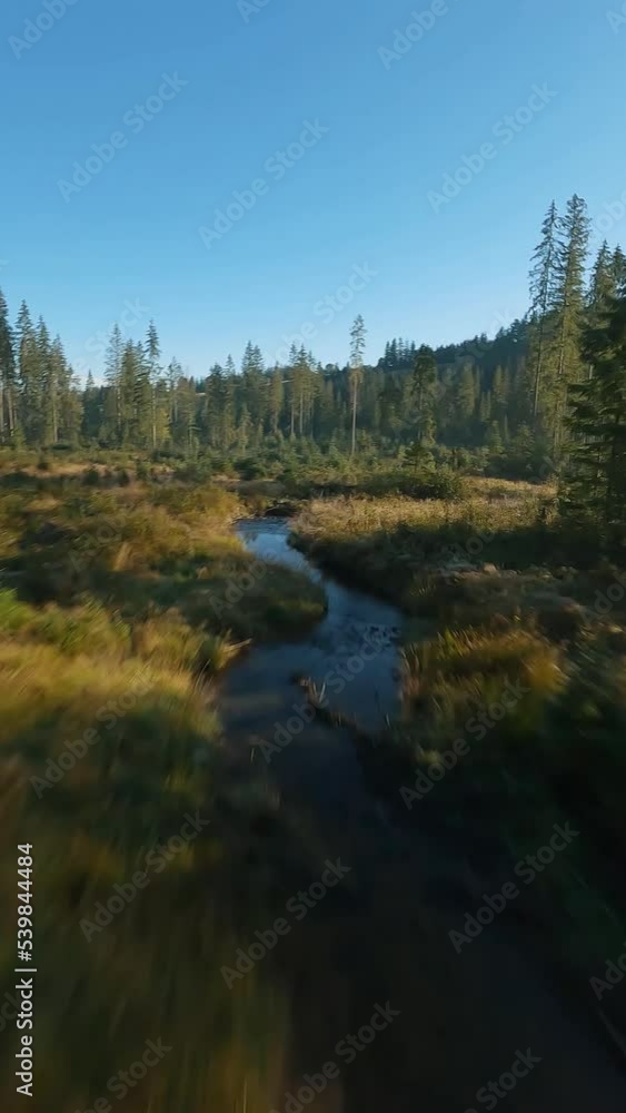Vertical video. Fast flight over an autumn mountain landscape, stream, trees Vertical video. Fast flight over an autumn mountain landscape, stream, trees