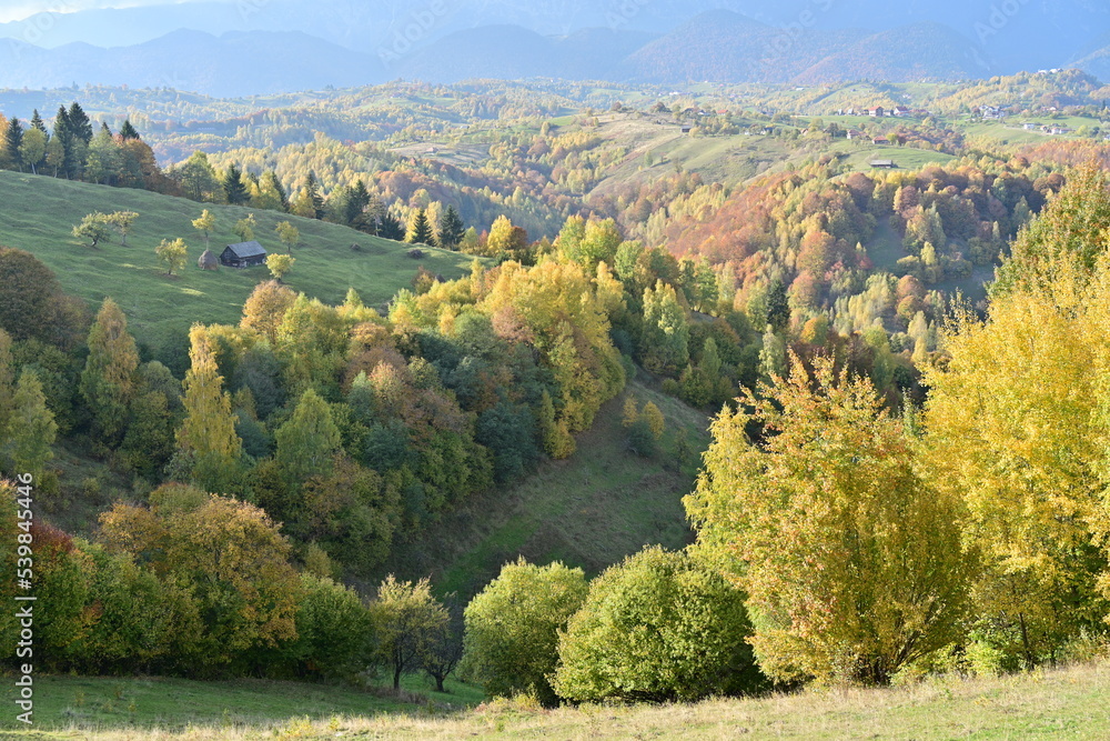 Autumn colors at mountain