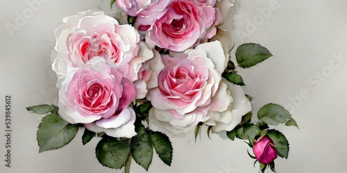 A Bunch Of Pink Roses On A White Background, Magnificent Watercolor Style Background. For Graphic Design. © lumerb