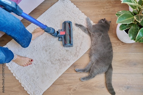 Cleaning house with vacuum cleaner, female with pet cat photo