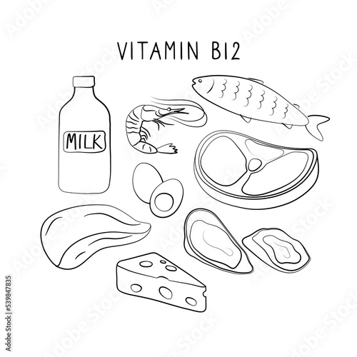 Vitamin B12 cyanocobalamin, cobalamin. Groups of healthy products containing vitamins. Set of fruits, vegetables, meats, fish and dairy