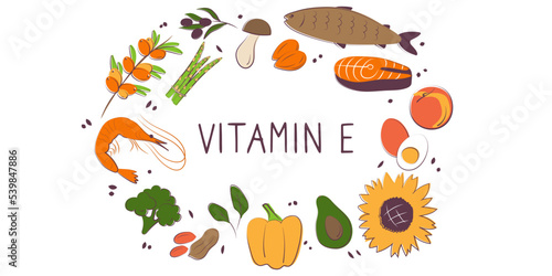 Fototapeta Naklejka Na Ścianę i Meble -  Vitamin E tocopherol. Groups of healthy products containing vitamins. Set of fruits, vegetables, meats, fish and dairy.