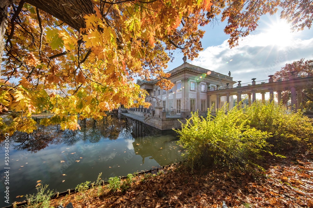 Obraz premium goldener oktober