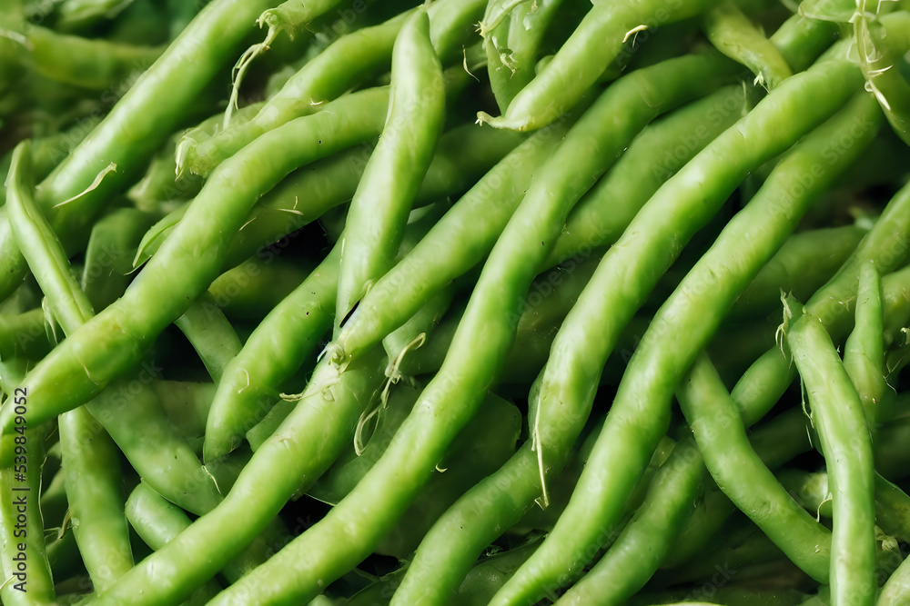 green beans, a healthy vegetable food, freshly harvested, farm produce green beans, a healthy vegetable food, freshly harvested, farm produce