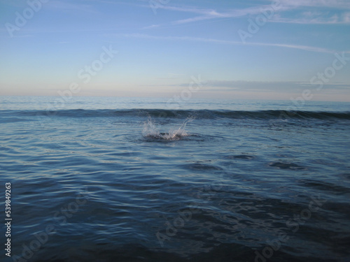 Big splash from a person or animal diving down into the water in the ocean waves with blue sky and some clouds at dusk sunset