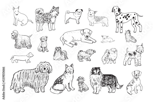 Dogs line pets vector illustrations set.