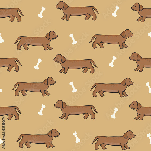 Dachshunt dog pets vector seamless pattern.