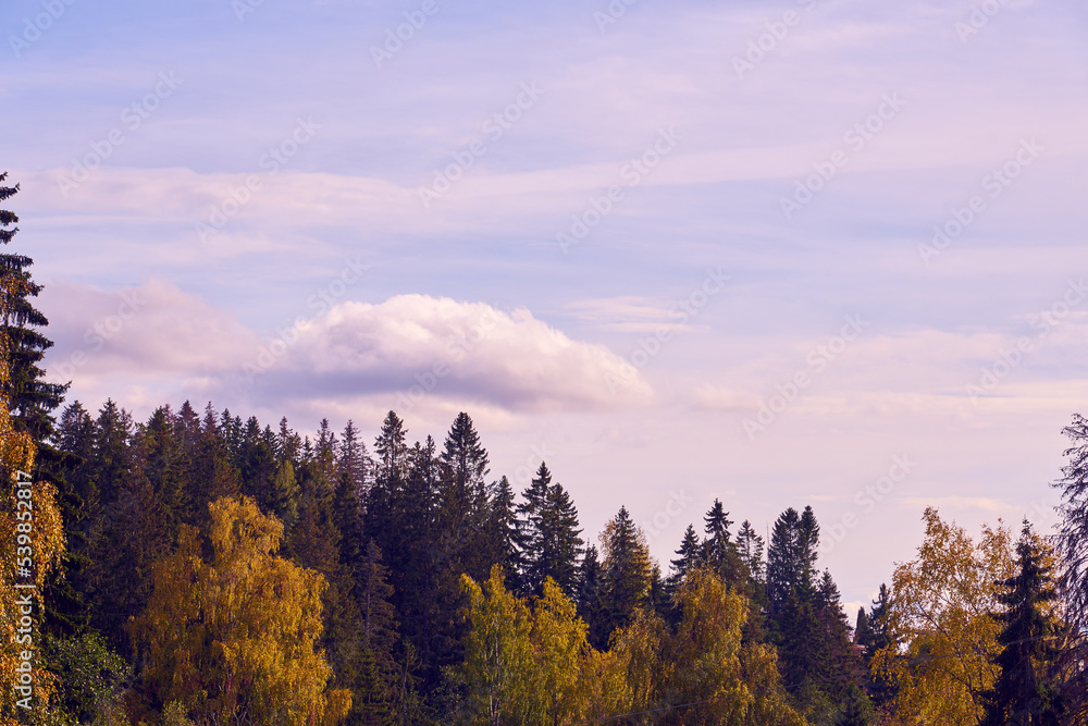 A cloud in the sky over the autumn forest.