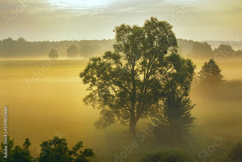 Fog © Valerii