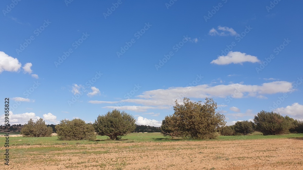 Beautiful landscape in Algeria