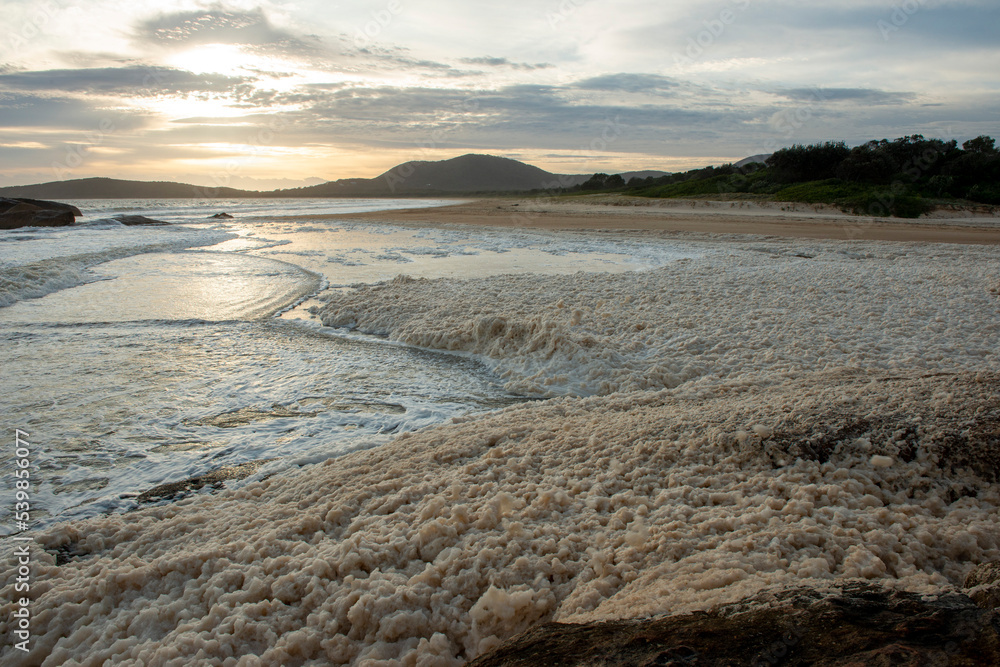 Sea foam created from recent flood waters wash onto the beach at South West Rocks on the north coast of New South Wales, Australia. Sea foam created from recent flood waters wash onto the beach at South West Rocks on the north coast of New South Wales, Australia.