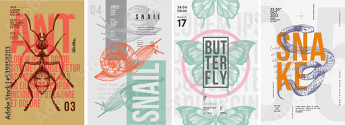 Ant, snails, butterfly, snake. Set of vector posters . Typography. Vintage pencil sketch. Engraving style. Labels, cover, t-shirt print, painting.