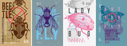 Beetle, fly, ladybug, butterfly. Set of vector posters . Typography. Vintage pencil sketch. Engraving style. Labels, cover, t-shirt print, painting.