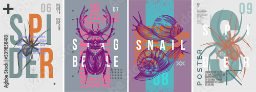 Spider, deer beetle, snails. Set of vector posters . Typography. Vintage pencil sketch. Engraving style. Labels, cover, t-shirt print, painting.