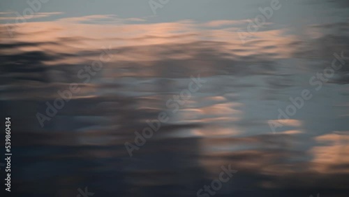 Soft waves on the surface of a forest pond