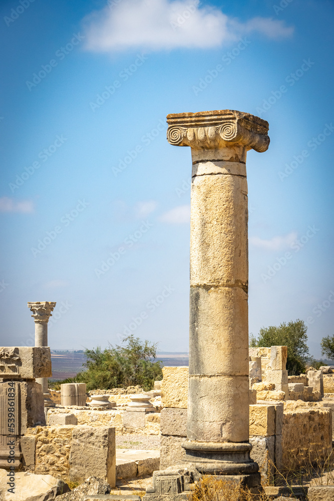 roman ruins, arches, pillars, volubilis, morocco, north africa, columns
