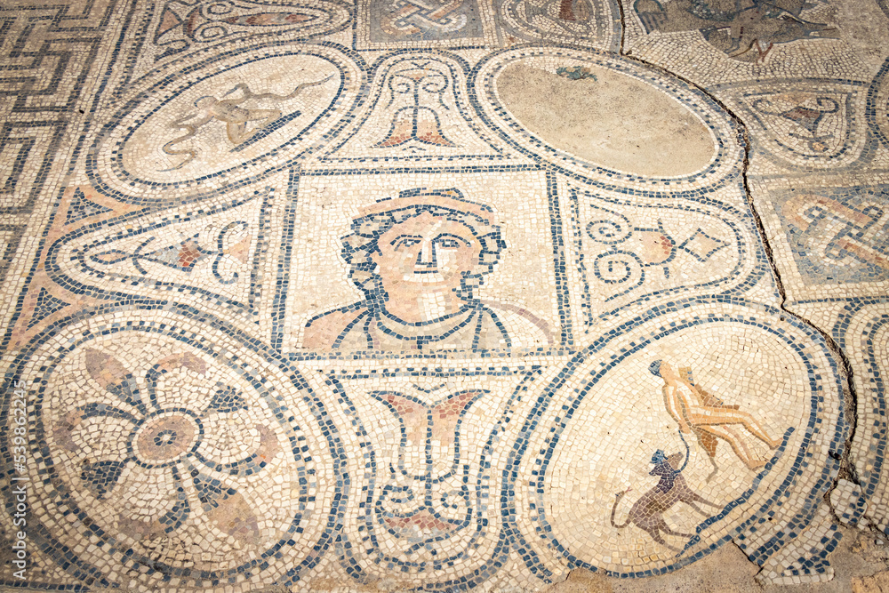 detail of a roman mosaic at Volubilis, morocco, north africa