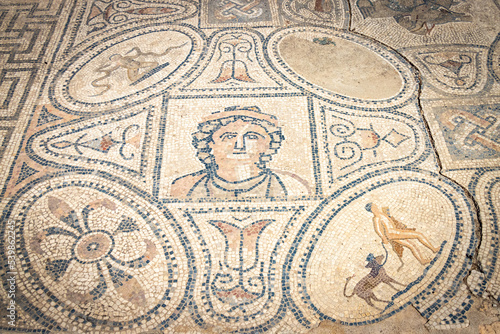 detail of a roman mosaic at Volubilis, morocco, north africa