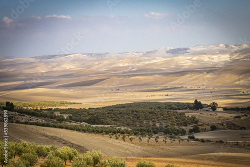 landscape in the rif mountains, morocco, north africa, 