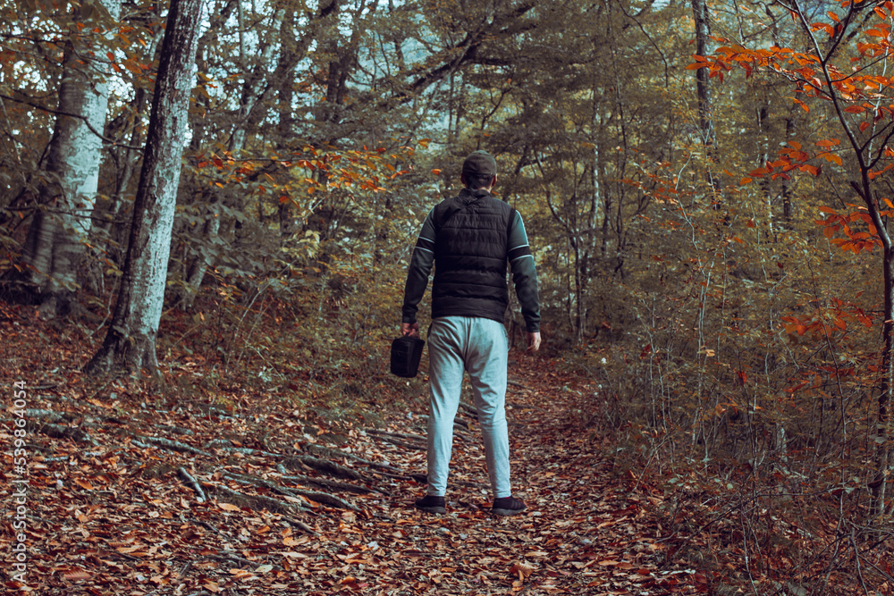 person walking in the woods