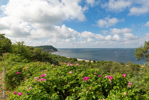 Kalilingrad region. View of Filinskaya Bay, Baltic Sea photo