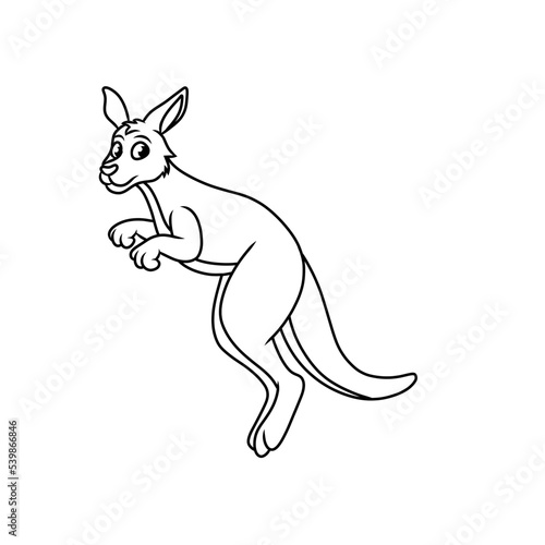 kangaroo animal cartoon character 