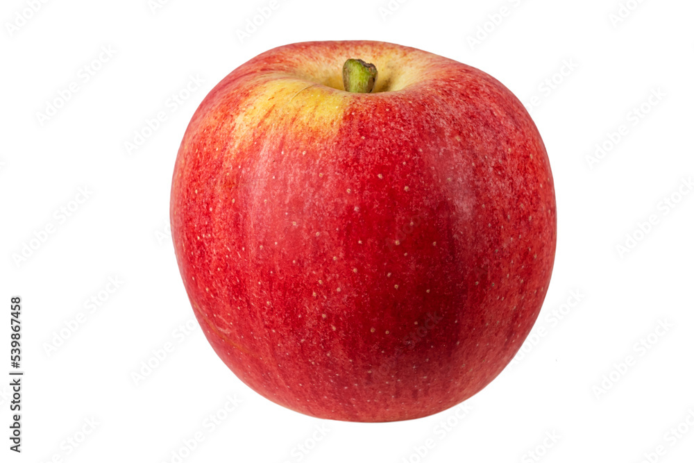 fresh ripe red apple isolated on white background fresh ripe red apple isolated on white background