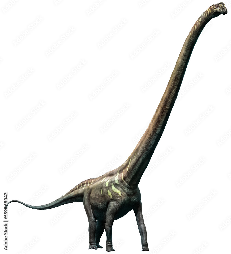 Fototapeta premium Mamenchisaurus from the Jurassic era 3D illustration 